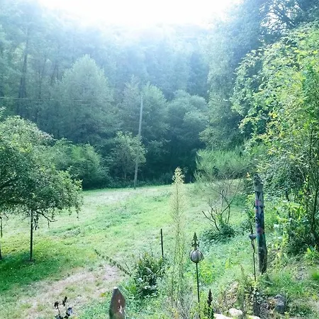 Haus 3 Birken